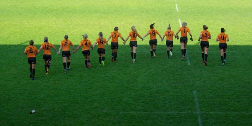 Lorraine Laros banner