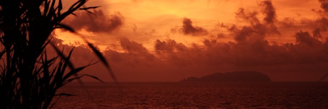 MattNewguywin's profile banner image