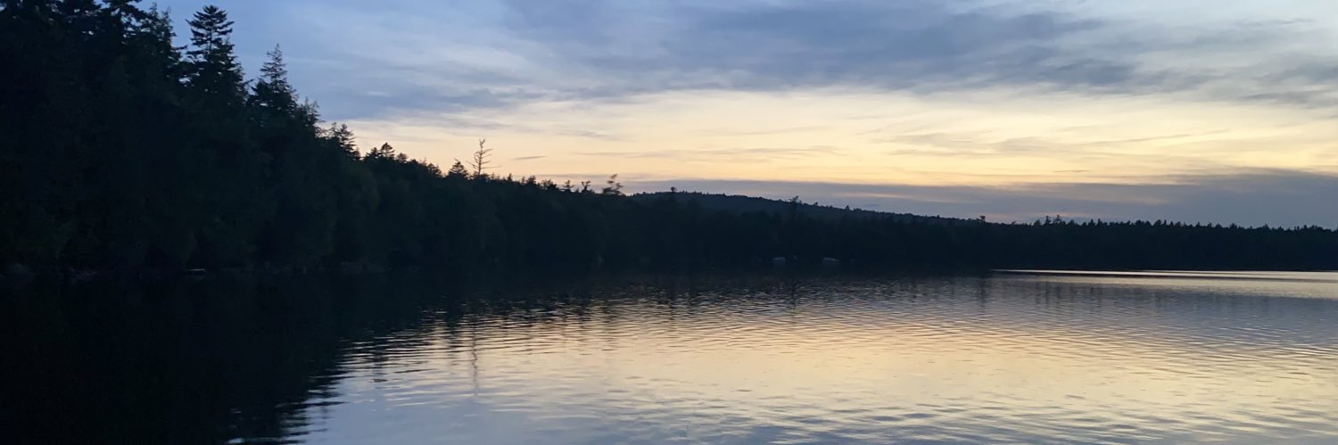 IzBess's profile banner image