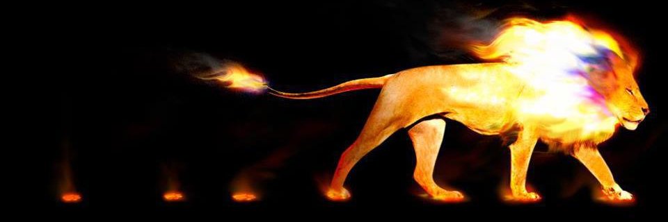allisonmcdee's profile banner image