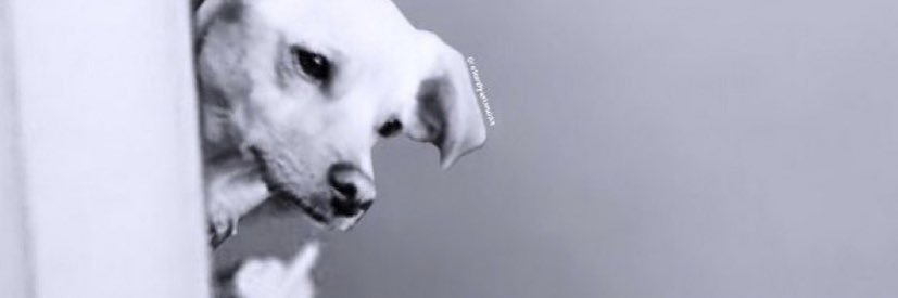 JonathanCuneo16's profile banner image