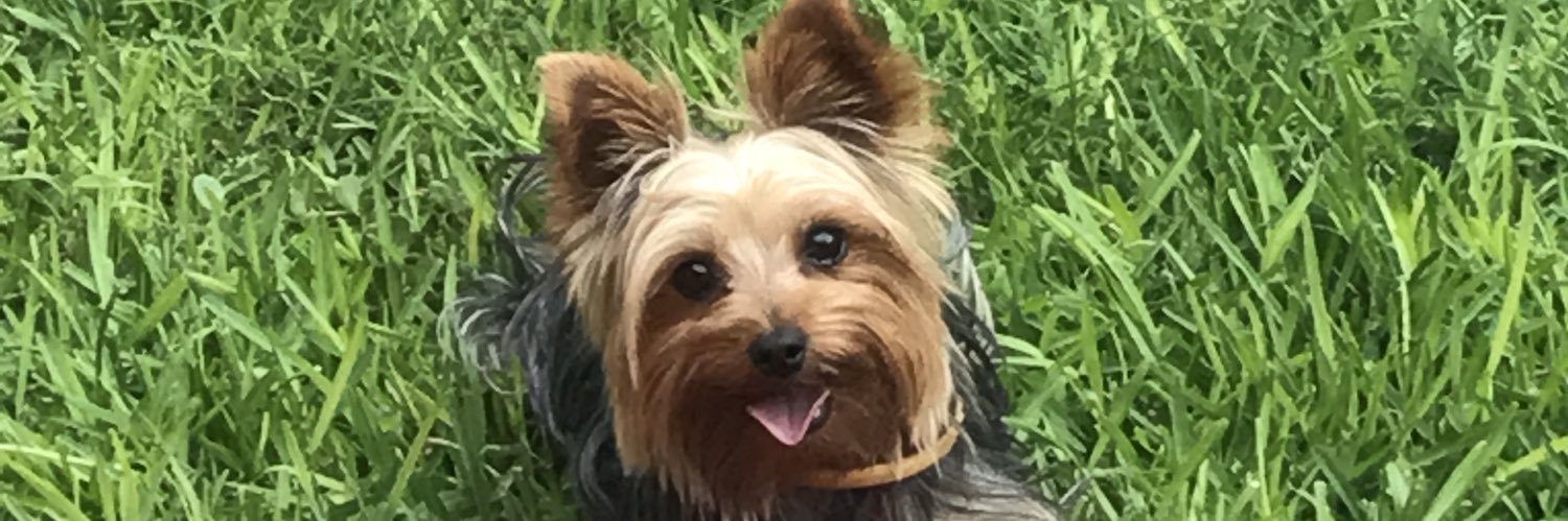 fedeport's profile banner image