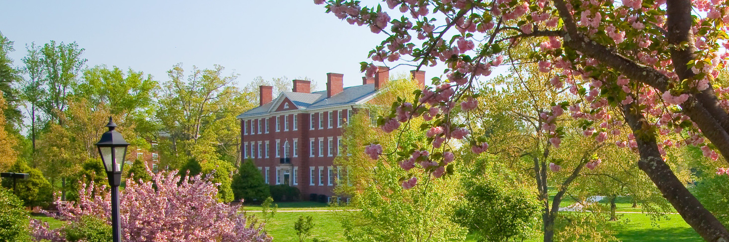 HampdenSydneyAlumni banner