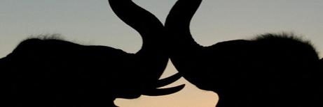 marlow08's profile banner image