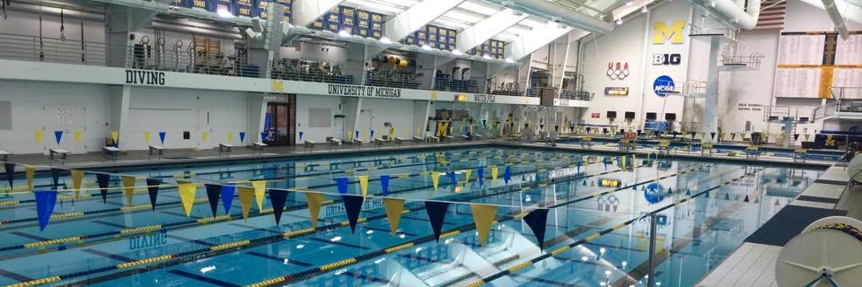 Club Wolverine banner