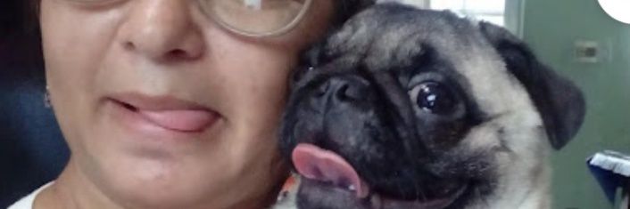 nettealmeida's profile banner image