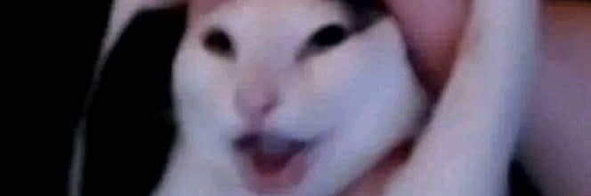 BohDrak's profile banner image