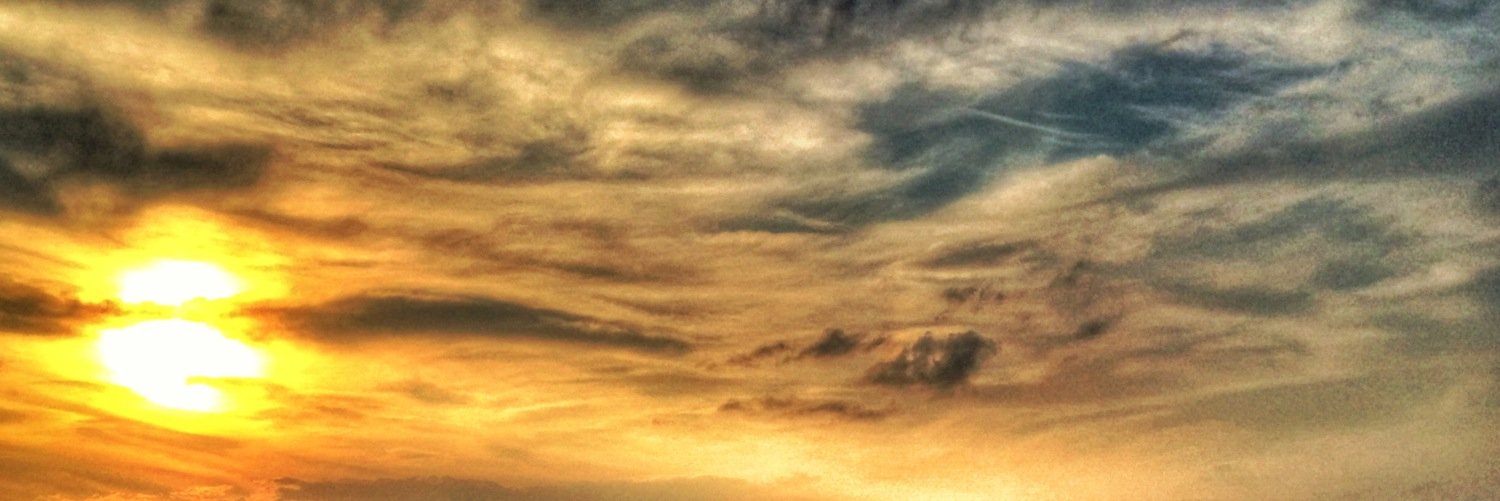 dallane1's profile banner image
