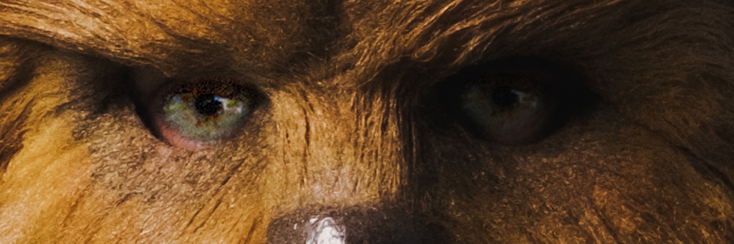 thewookies's profile banner image