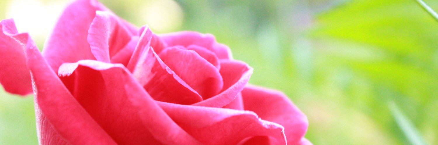 MorganV_Mahan's profile banner image