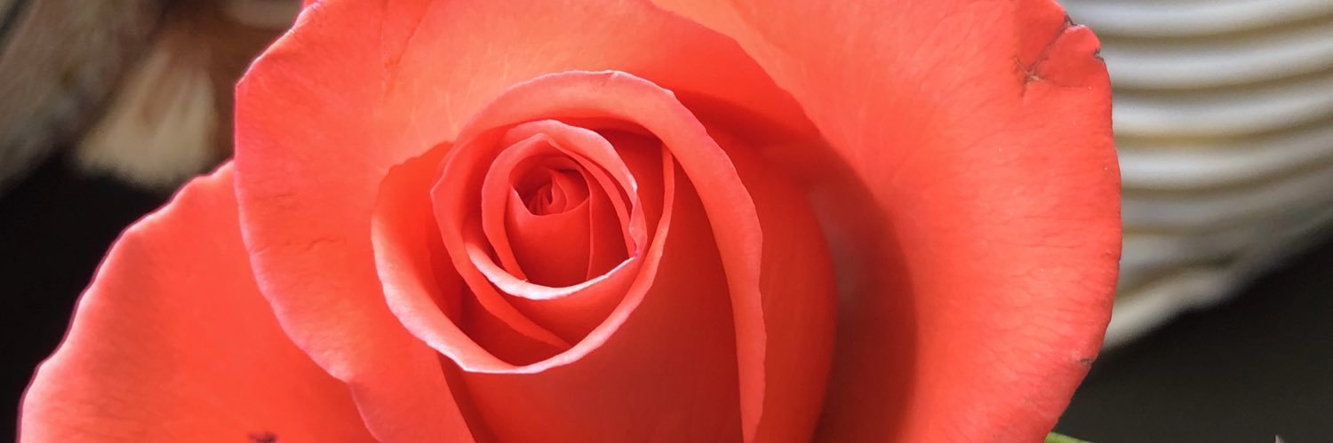 MadisonRichardd's profile banner image