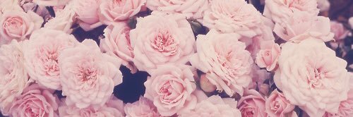jamie banner