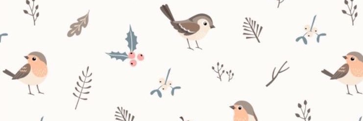 rinnybird's profile banner image