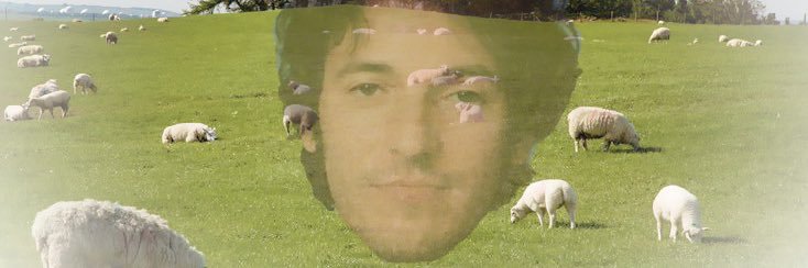 buce pingting 🍉 banner