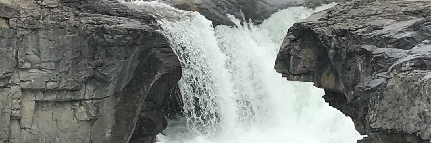 lexismom17's profile banner image
