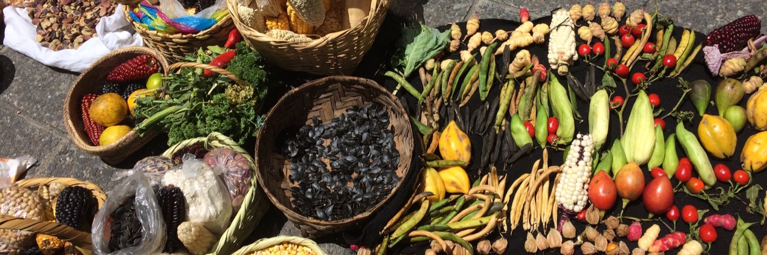 Cecilia Raquel Ponce banner