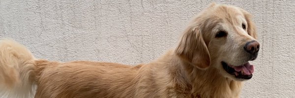 JcRiossss Profile Banner