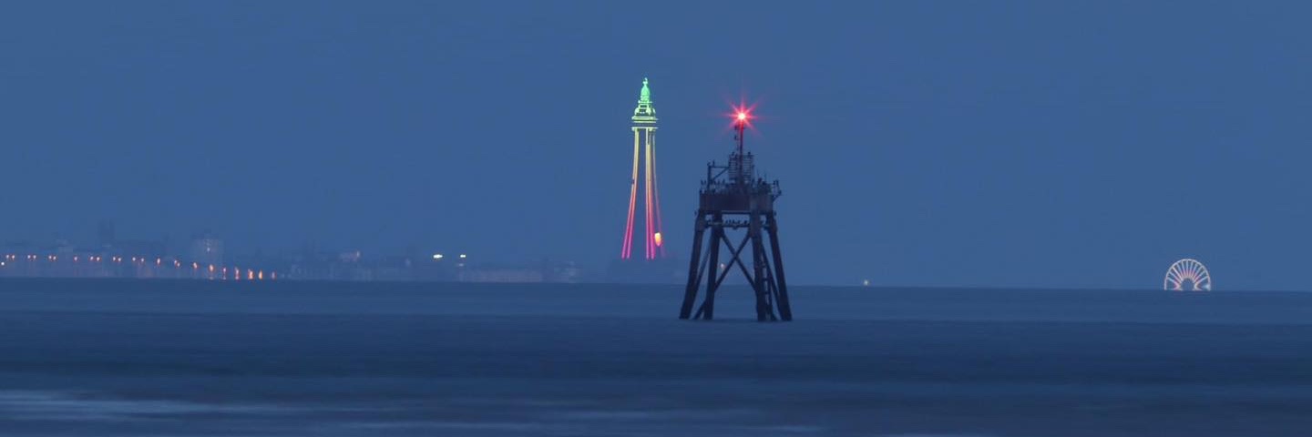 Steve Williams™ 🏴󠁧󠁢󠁳󠁣󠁴󠁿 🇪🇺 👻 🌲 banner