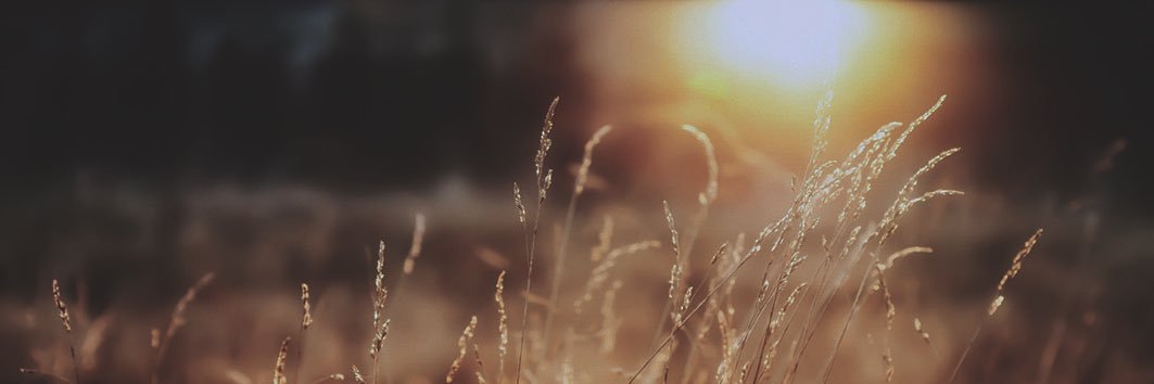 Mmaphala's profile banner image