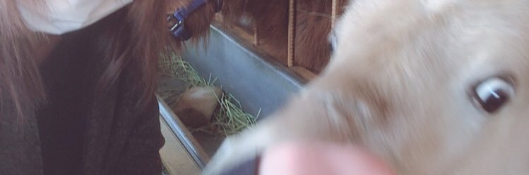 nekoyamaaa's profile banner image