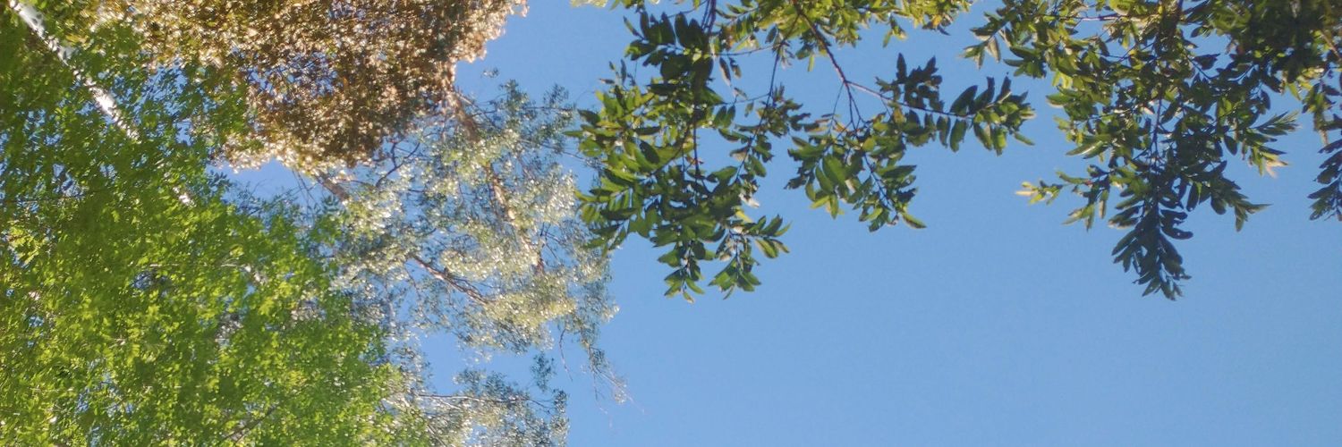 psiamarilla's profile banner image