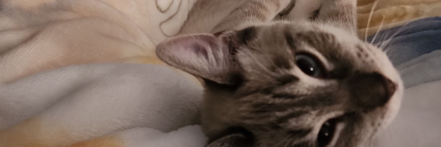 drulayton's profile banner image