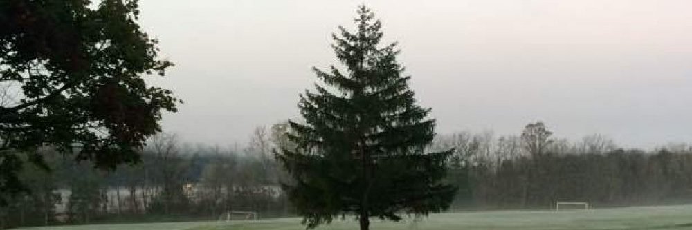 Ramona DeFelice Long banner