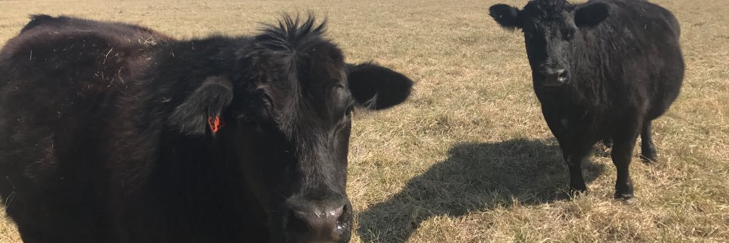 Whithutson24's profile banner image