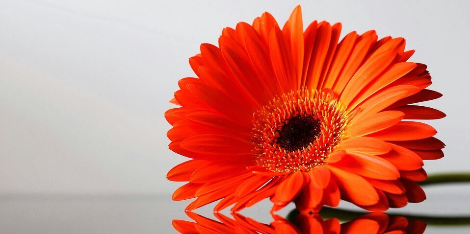 CharleneBryan4's profile banner image