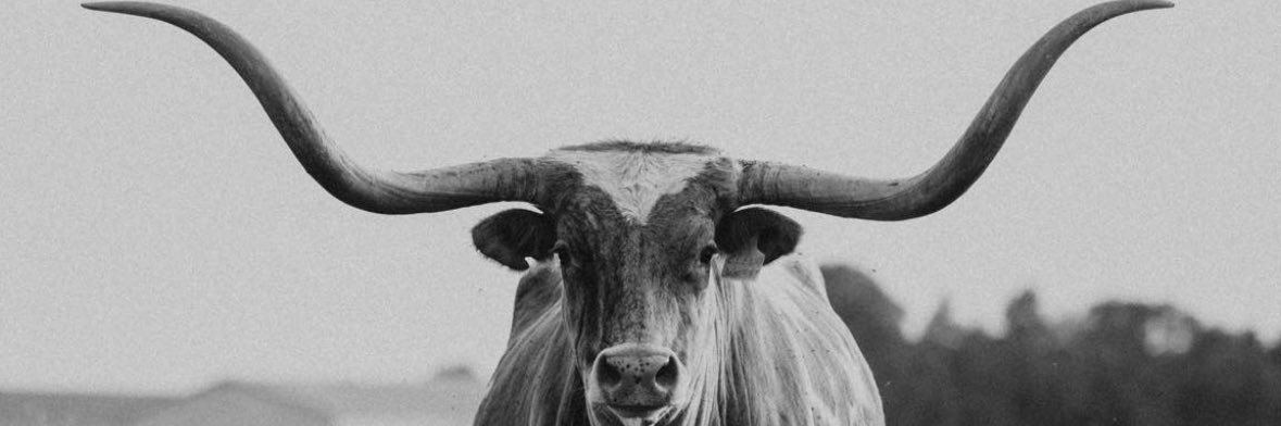 MarytierraB's profile banner image