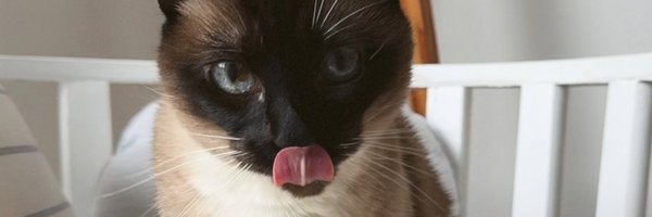 _mmabelen Profile Banner