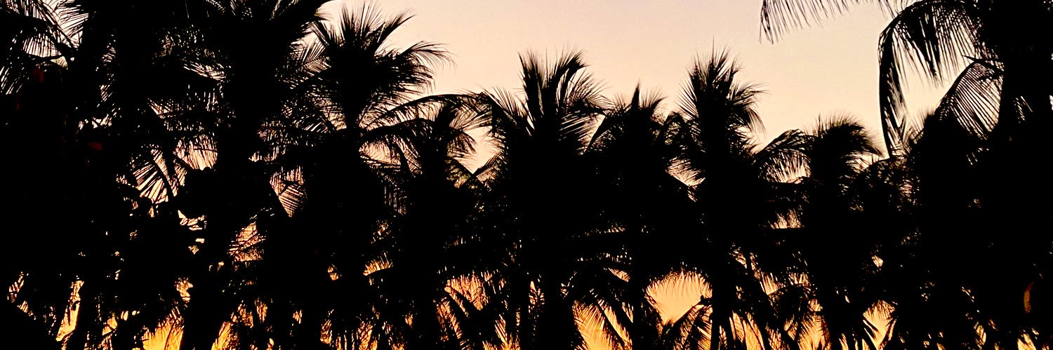 carls_gr's profile banner image