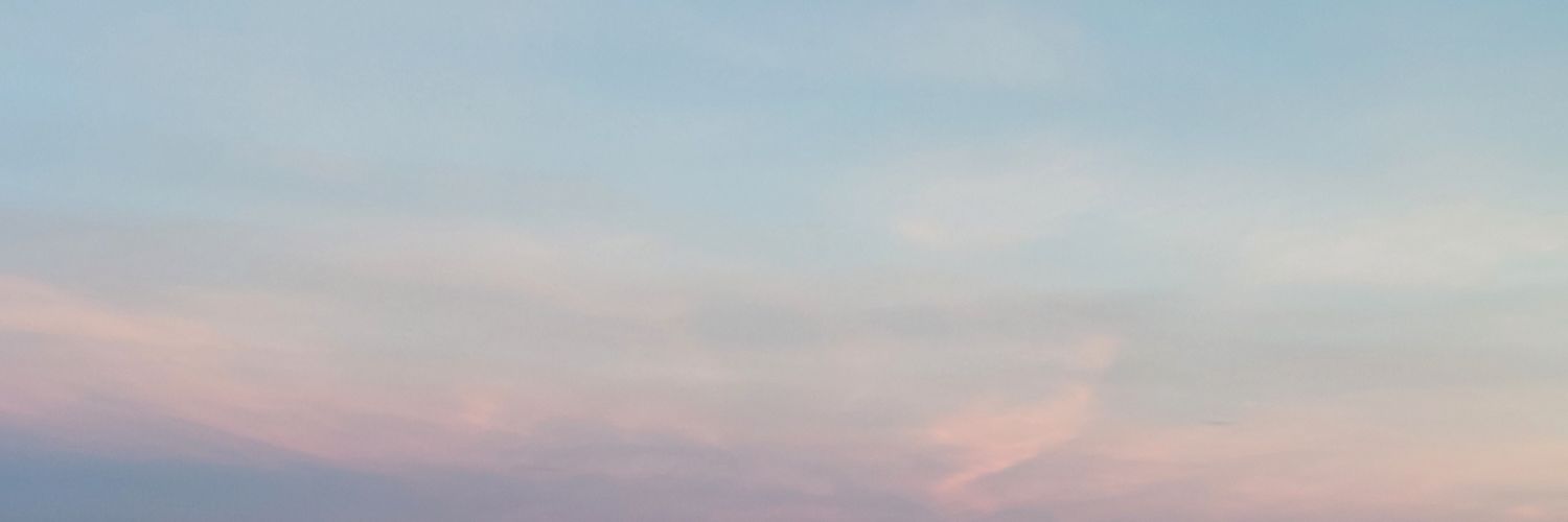 DamaLectora's profile banner image