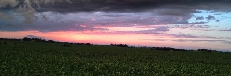 Collinchesnut23's profile banner image