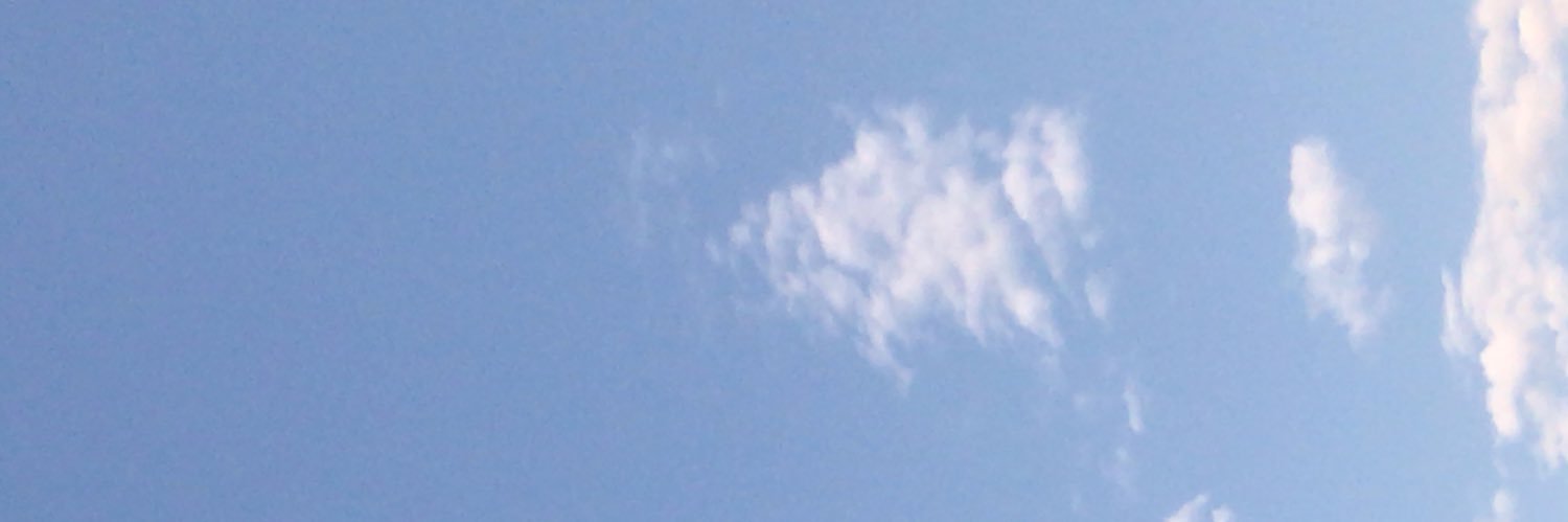 PauloLarentis's profile banner image