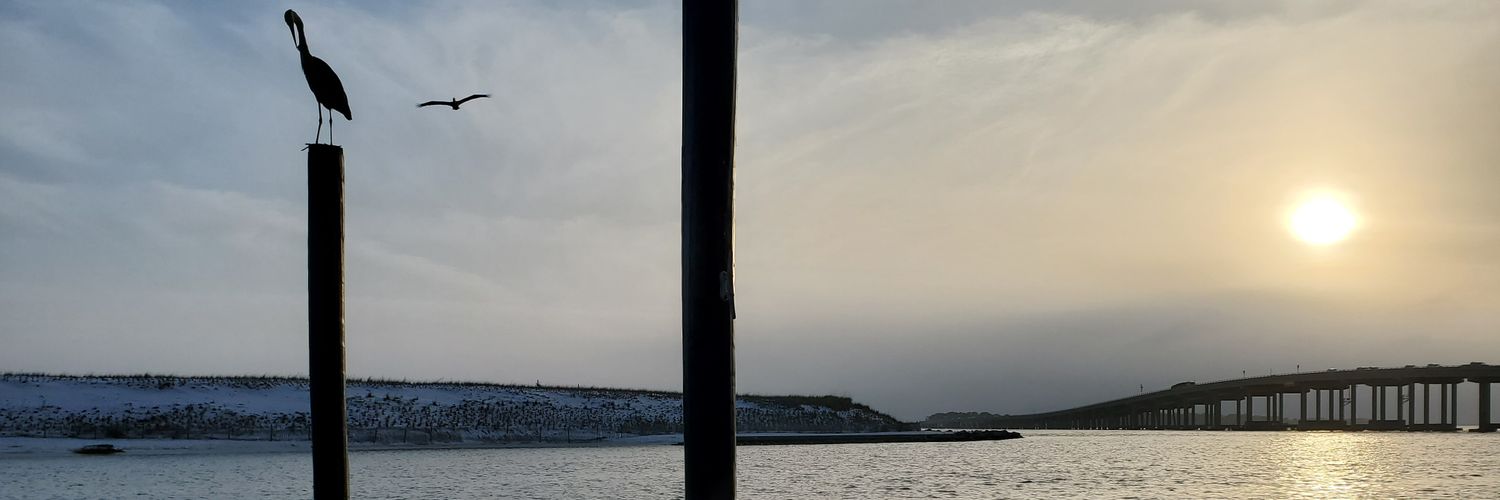 OmgCblack's profile banner image