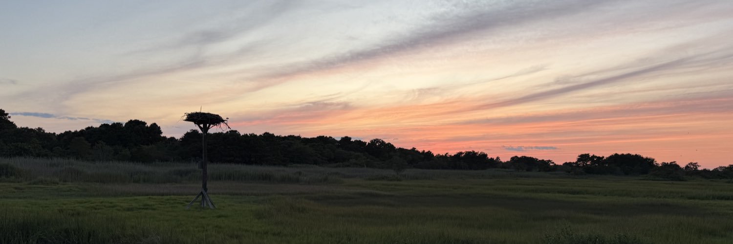 magstyles's profile banner image