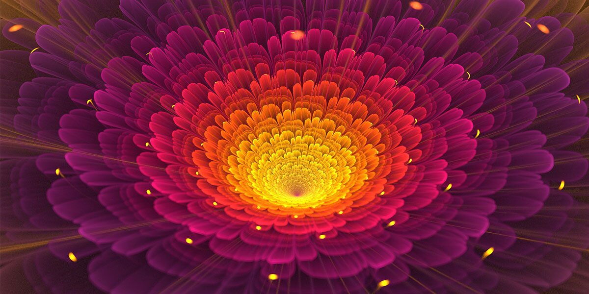 Angela Stelle banner