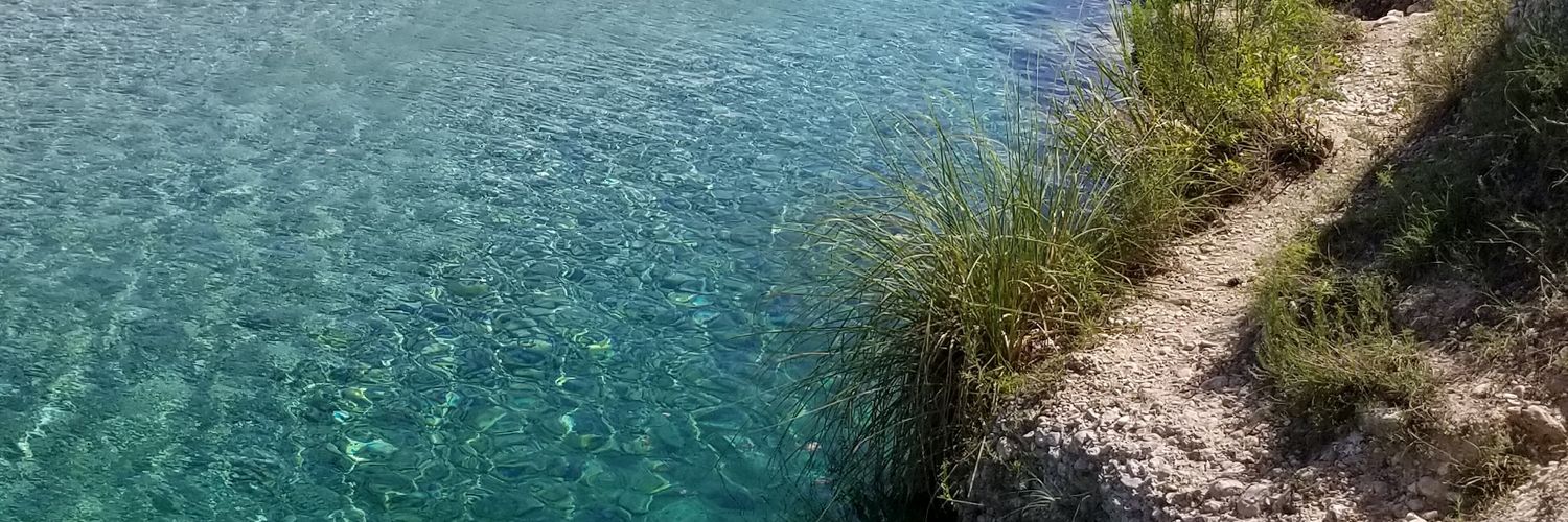 Jenny Mullins banner