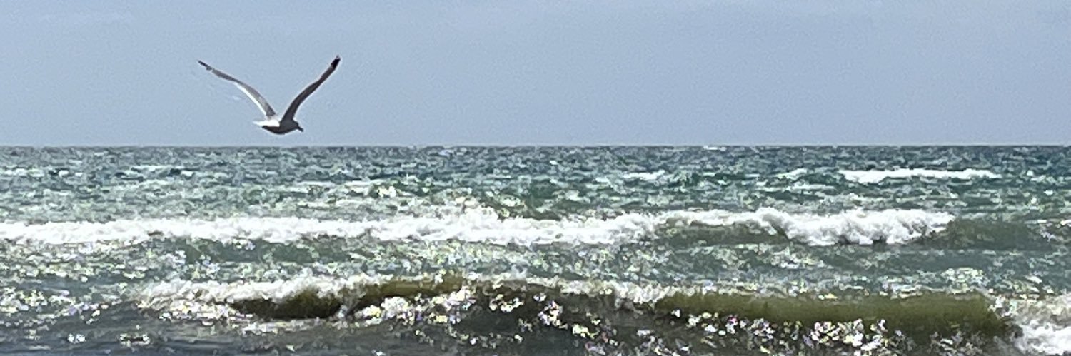 MSilcoff's profile banner image