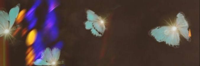 🦋 banner