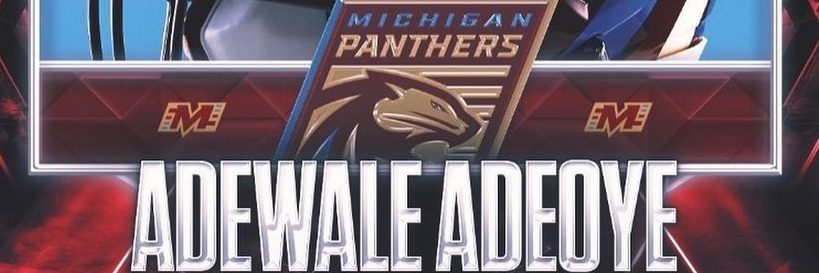 AdewaleTweets's profile banner image