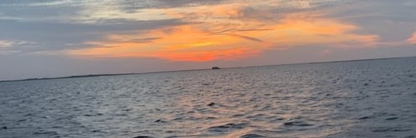 CallMeGizmo's profile banner image