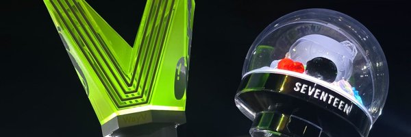 shflyka Profile Banner