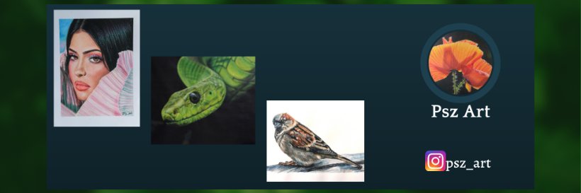 sylwy's profile banner image