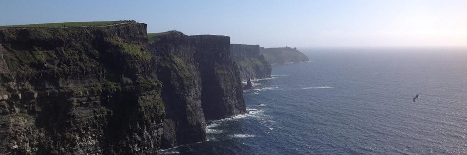 Carsten Bechmann banner