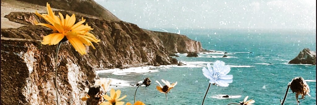 _NotShinyGirl's profile banner image