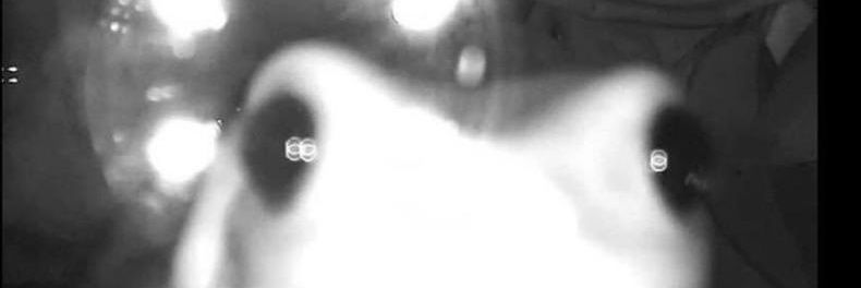 UnaPdePlanck's profile banner image