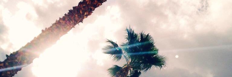 berrram's profile banner image
