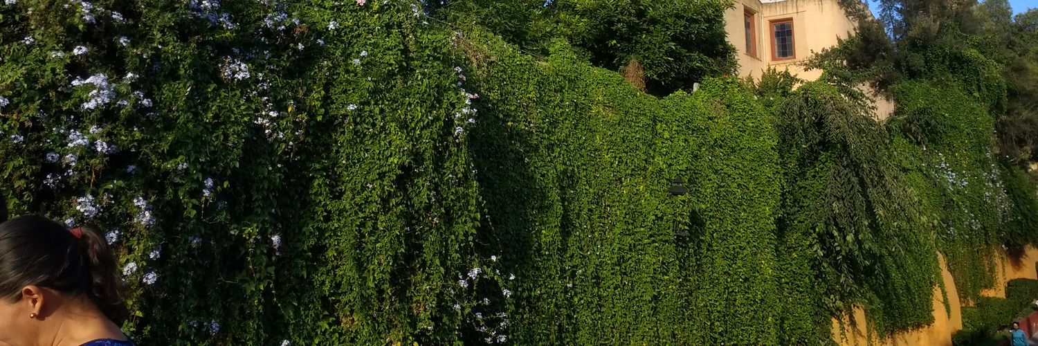 aisec__es's profile banner image